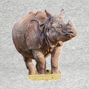 Indian one-horned rhino T-Shirt